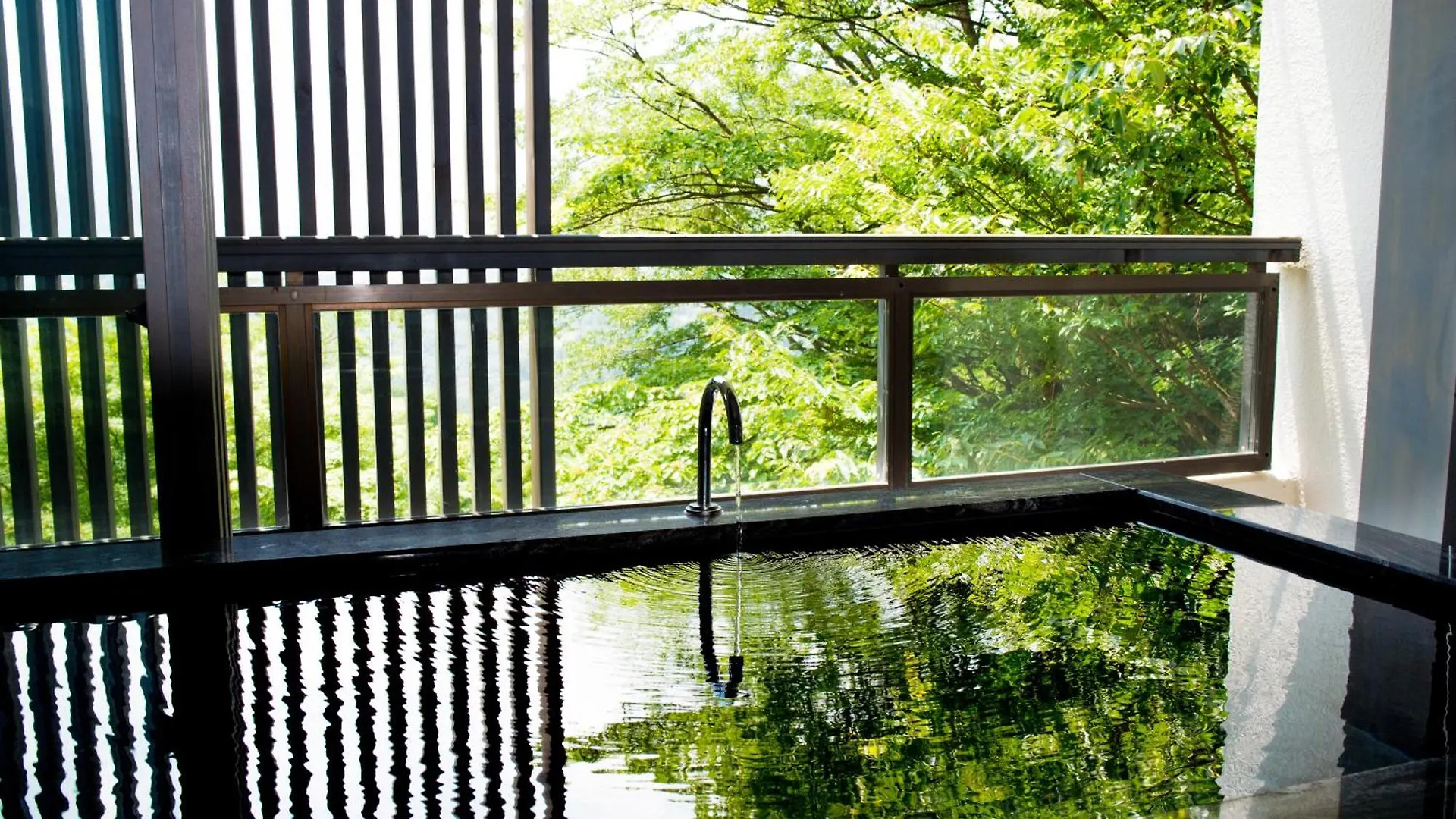 **** 传统日式旅馆 Hakone Elecasa Hotel And Spa 日本