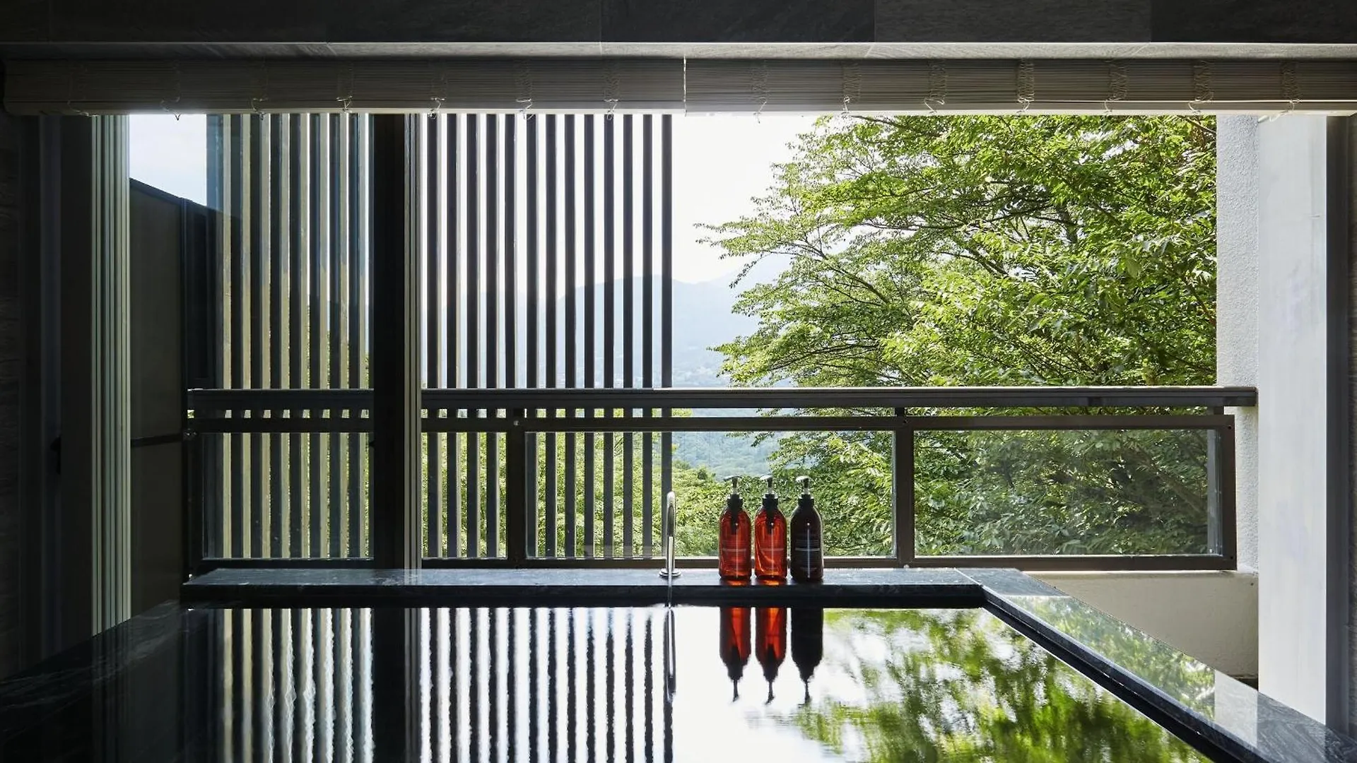 **** 传统日式旅馆 Hakone Elecasa Hotel And Spa 日本