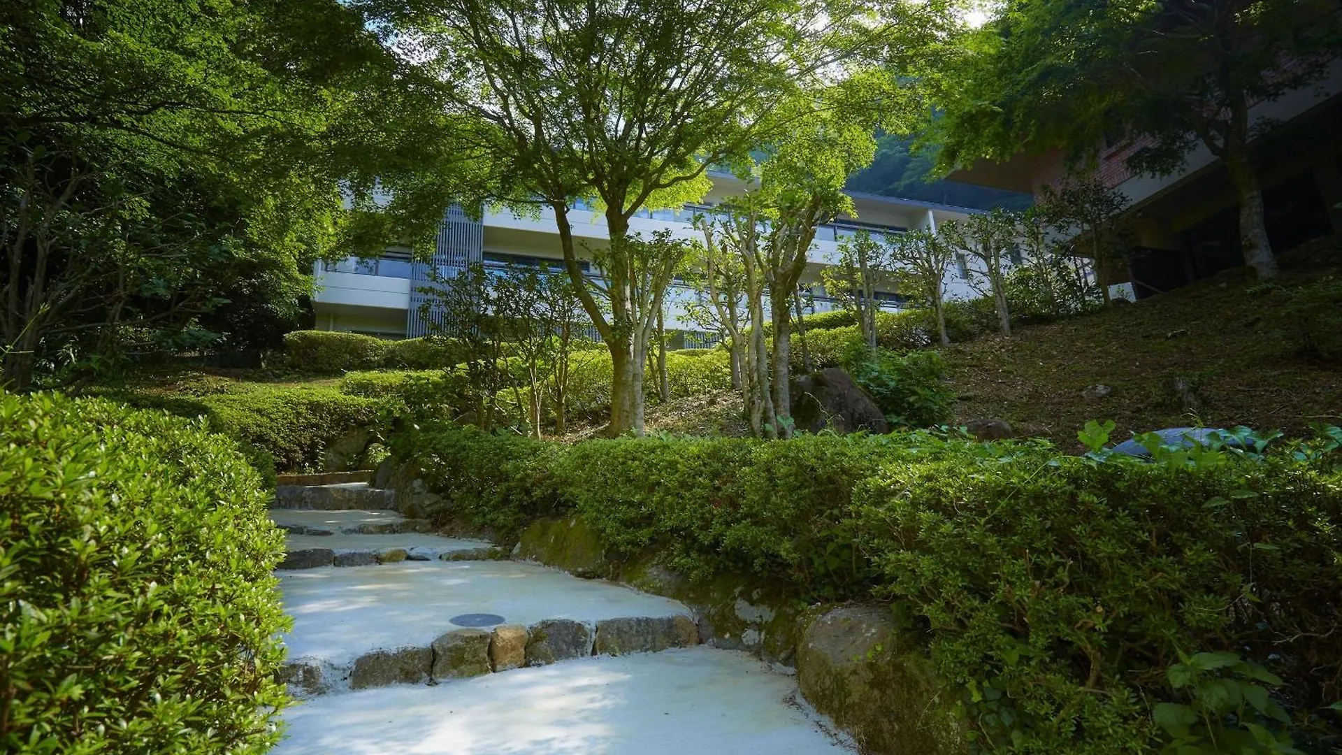 Hakone Elecasa Hotel And Spa 4*,  日本